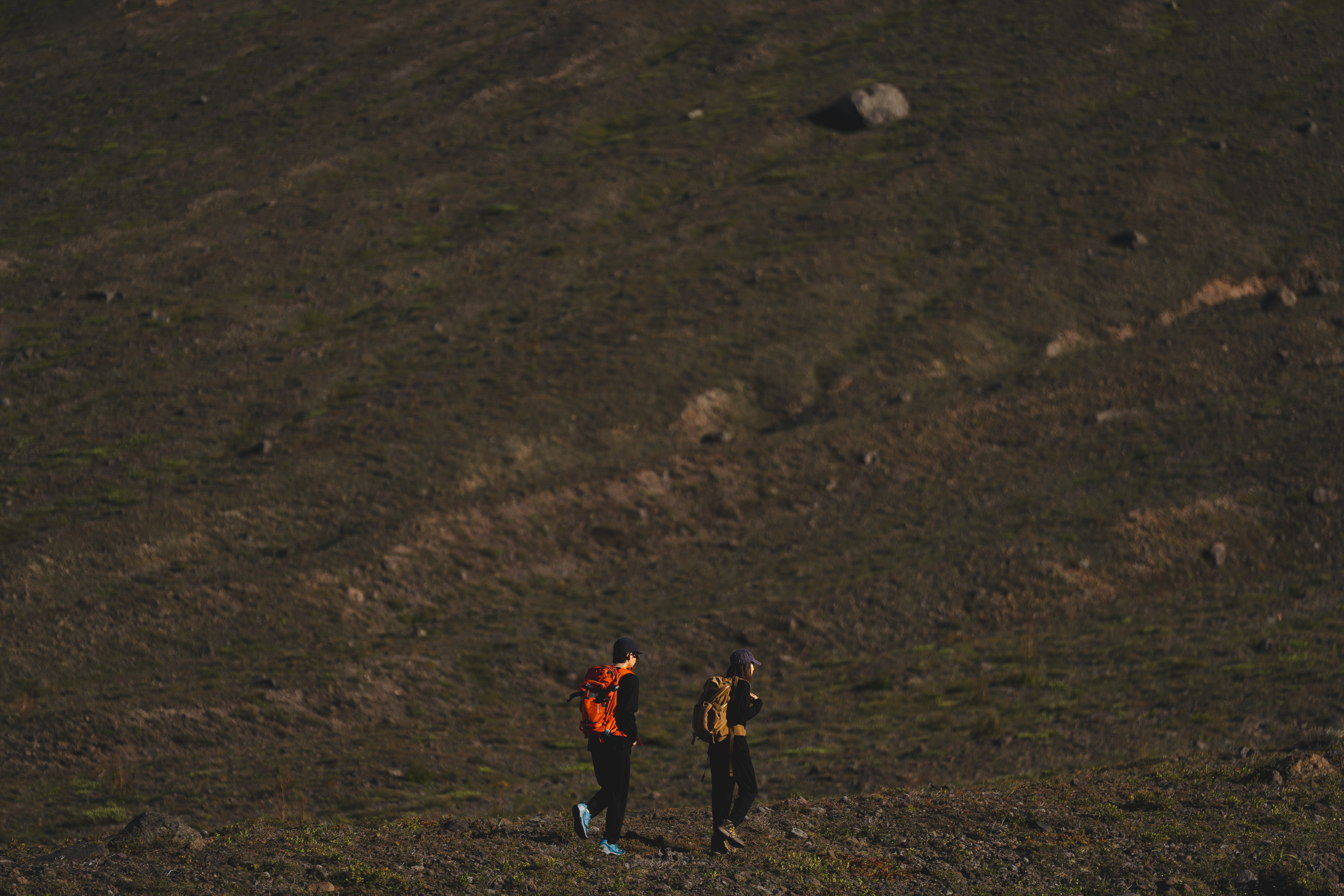 43d フォーティースリーディグリーズ ベースレイヤー イメージ10